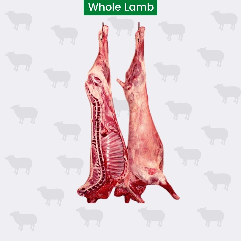 Whole Lamb Minimum 20 Pound Zabiha Depot